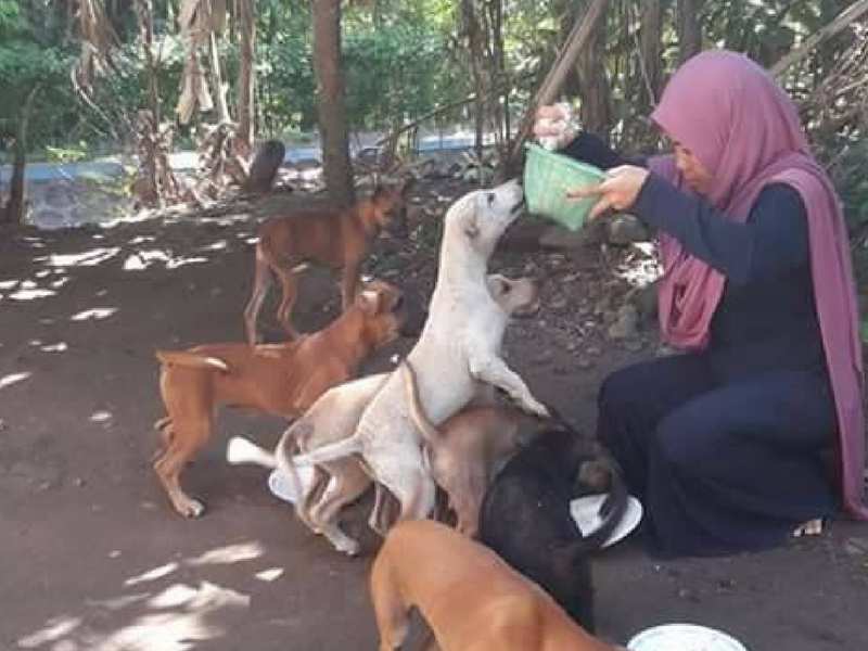 Hukum Letak Nama Manusia Pada Haiwan / 5 perkahwinan manusia & haiwan!