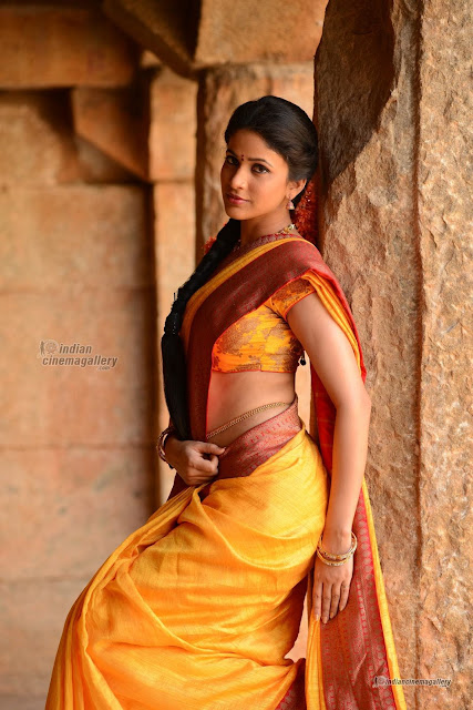 Actress Lavanya Tripathi Saree Photos