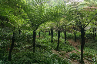 Park za buddhou.