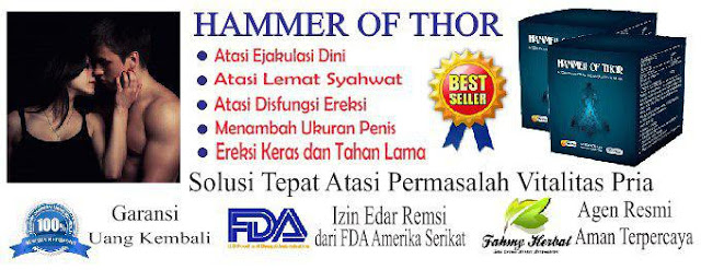 Obat Perangsang Pria Alami Obat Perangsang Pria Alami