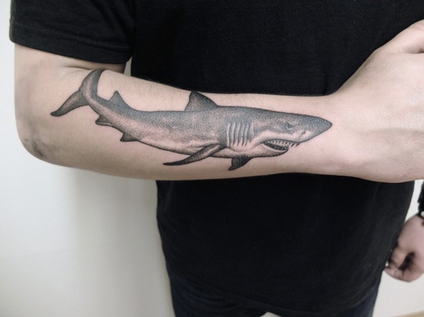 Tatuagens de tubarões Tatuagens de tubarões