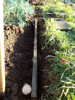 How to keep weeds out of your allotment 80 Minute Allotment Green Fingered Blog
