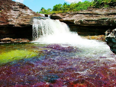 color water crystal river 09 Sungai Kristal   Sungai tercantik di Dunia (16 Gambar)