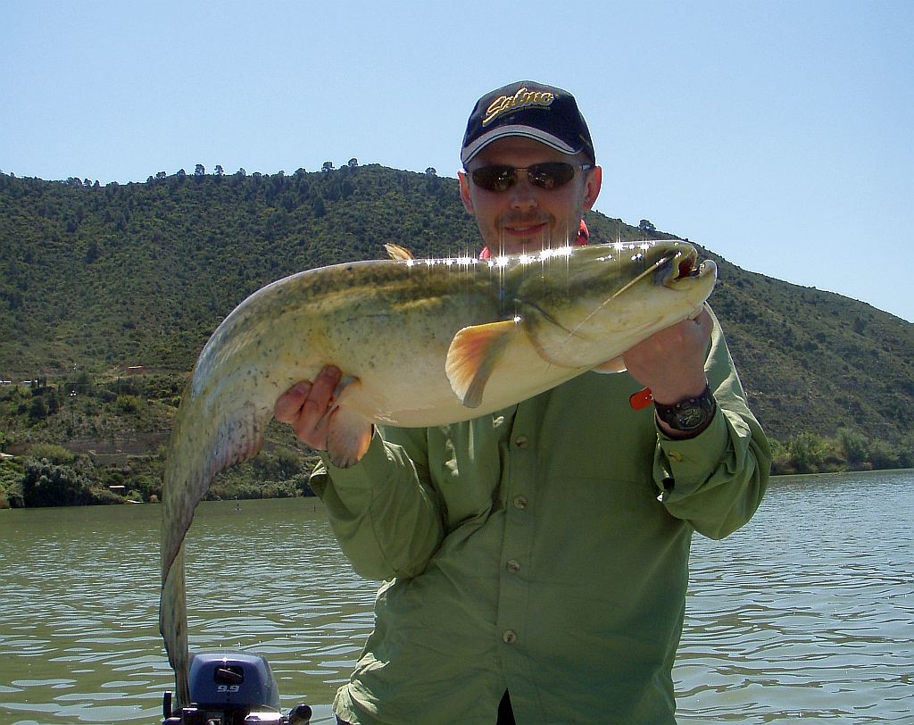 Sea Bass Hunting Spain, Mequinenza III ( Catfish ) 1926.04.2013