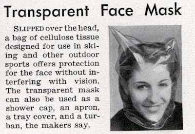 Transparent Face Mask