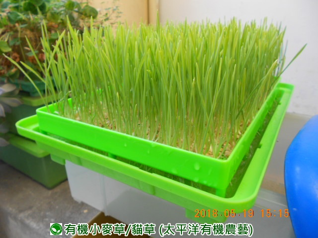 �p��,�߯�ش�,�߯�شӤ�k,�߯�,�߯�O����,�߯�diy,�߯�p����,�߯����,�^�K���@�k,�ؿ߯�