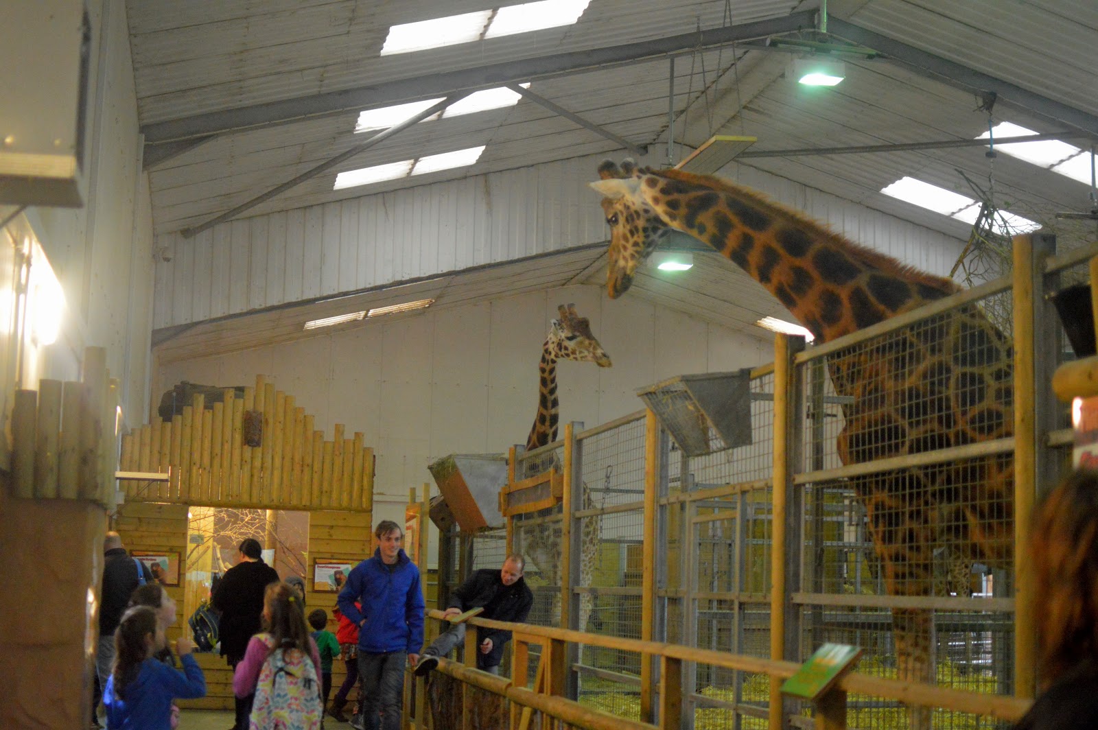 , A Fun Filled Family Day at Folly Farm #review