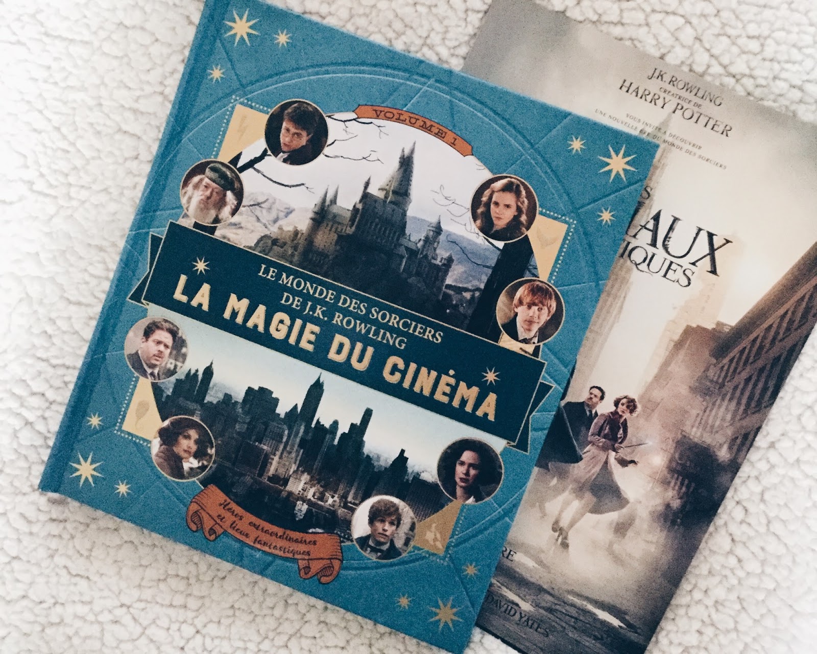 Harry Potter Monde Des Sorciers De J. K. Rowling Les lectures d'Agathe ♡: Le monde des sorciers de J.K. Rowling : La