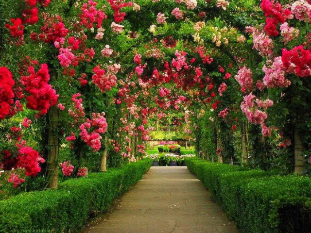 EXCEPTIONAL+GARDENS+%252812%2529.jpg