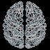 Why your brain Can't Stop Creating Problems