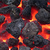 Fuels: Types of Fuels (Solid, Liquid, Gas)
