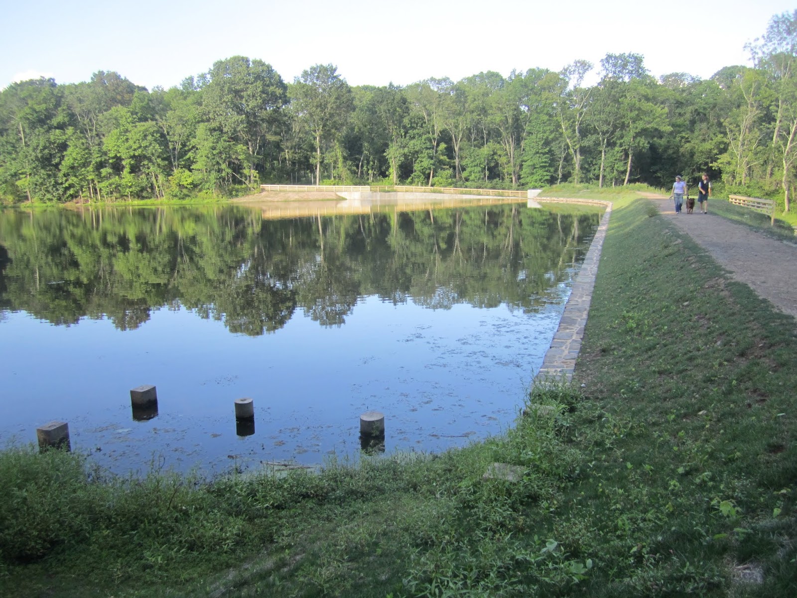 Princeton Nature Notes Princeton's Mountain Lakes Dam Restoration Story
