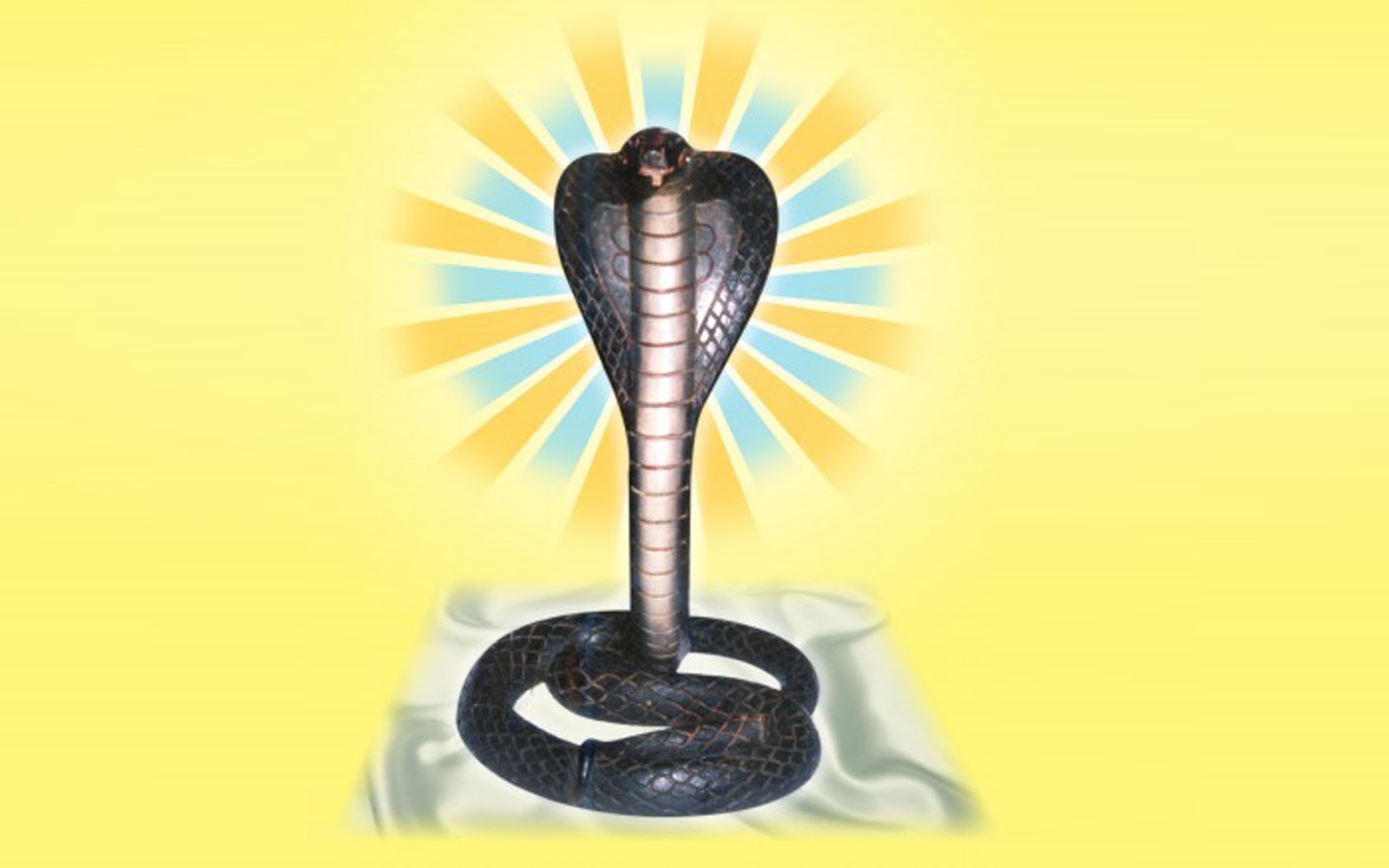 Indian Mother And Lord Hd Wallpapers Collection New 10 Goga Maharaj