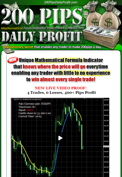 Forex daily profit