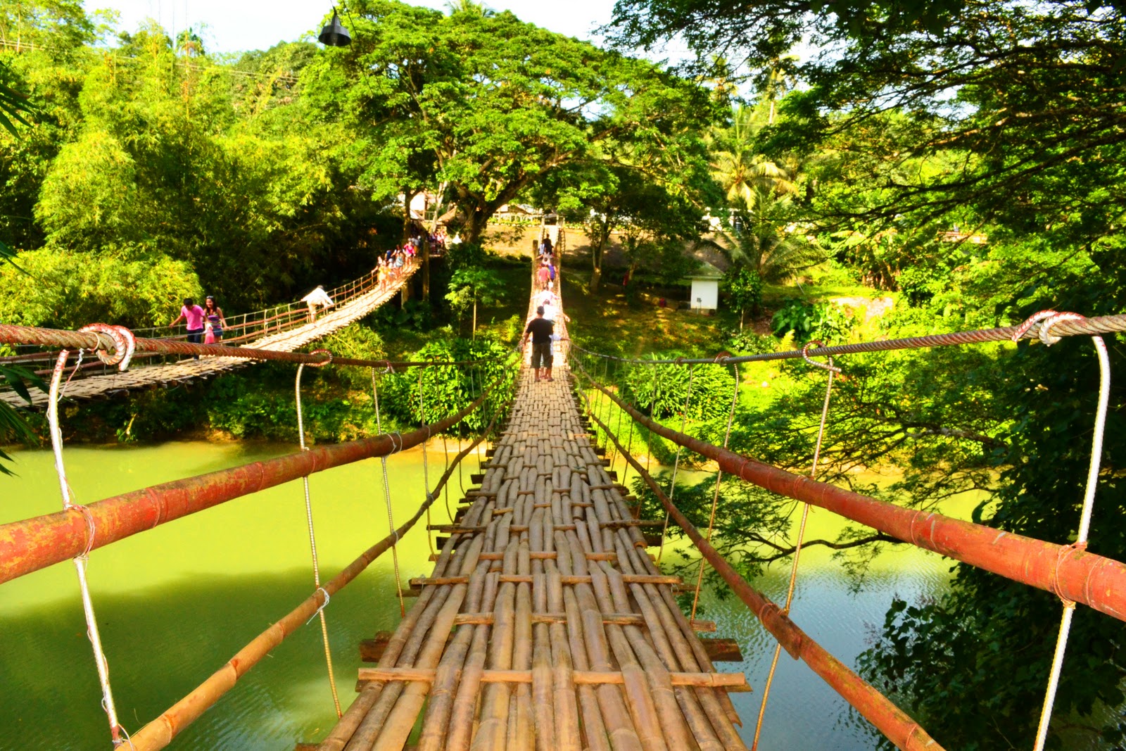 Bohol Day Tour Hanging Bridge Pinoy Biyahero