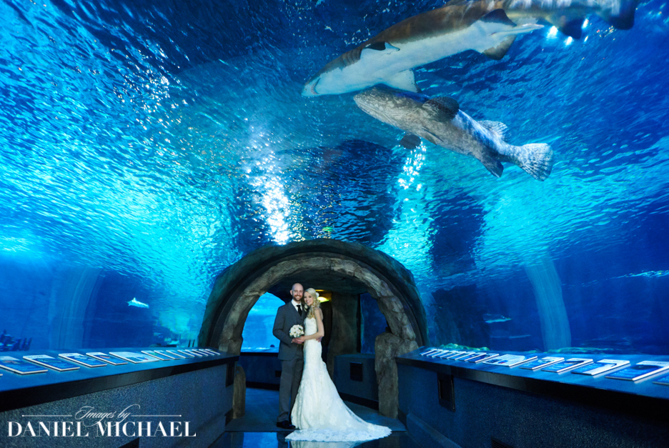 Greater Cleveland Aquarium Wedding Venue Greater Cleveland Aquarium Wedding Venue