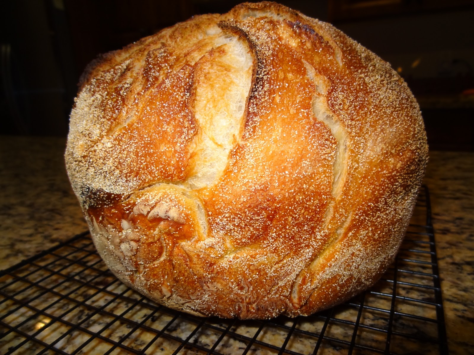 g*rated No Knead Dutch Oven Bread
