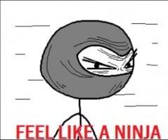 feel_like_ninja.jpg