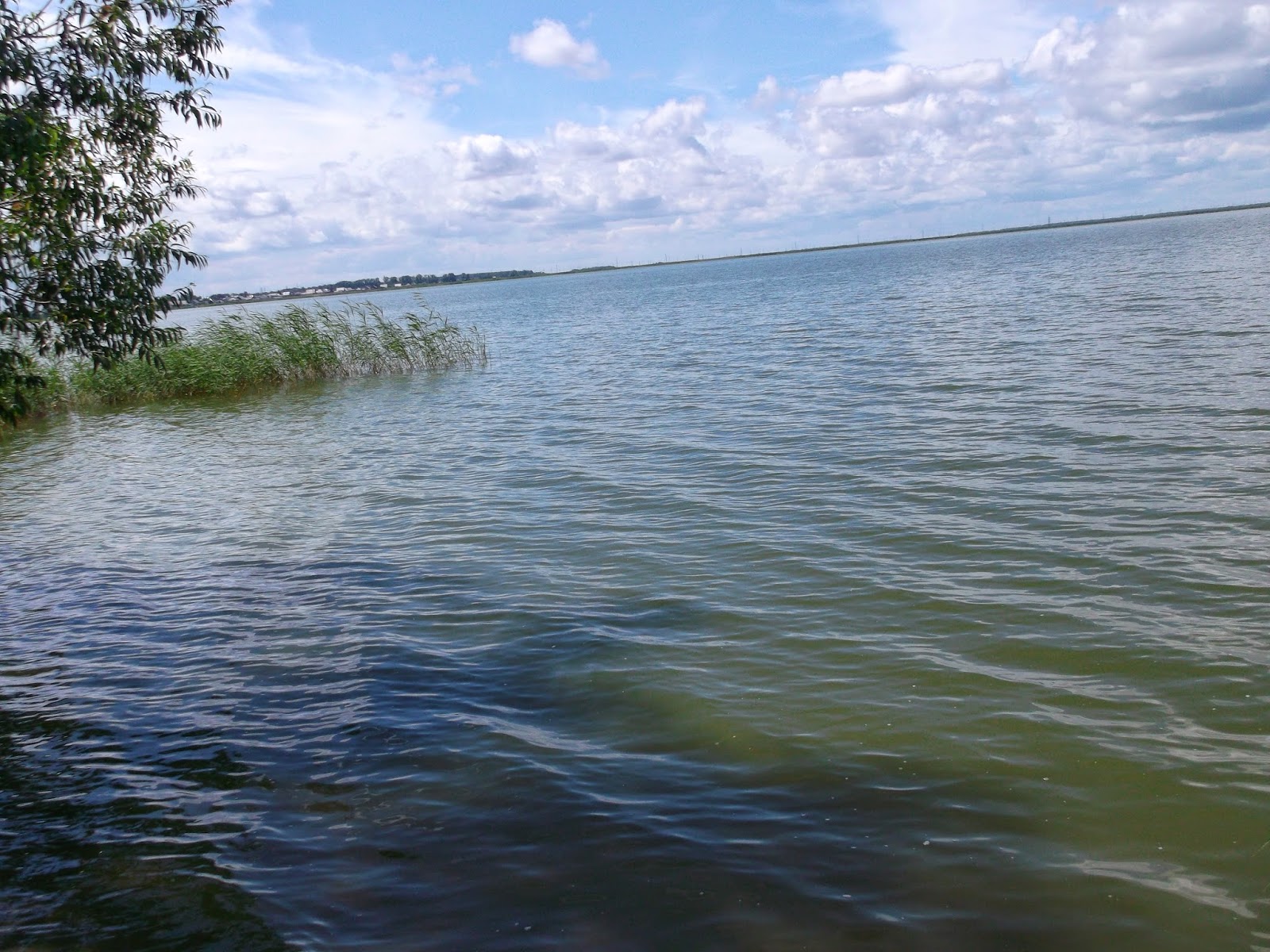 Горькое озеро алтайский