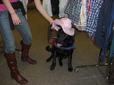 Picture of Al in a sit-stay with me holding a pink cowboy hat right over his head