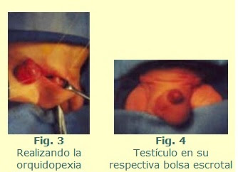 Semillas De Grandeza Denis Waitley Epub