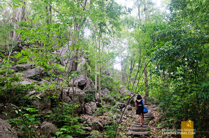 Death Railway Tour Sai Yok Noi Waterfall Death Railway Tour Sai Yok Noi Waterfall