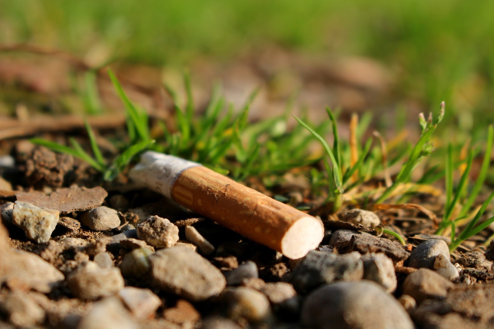 Illinois bans cigarette butts, issuing a $1,500 fine to anyone that throws one on the ground