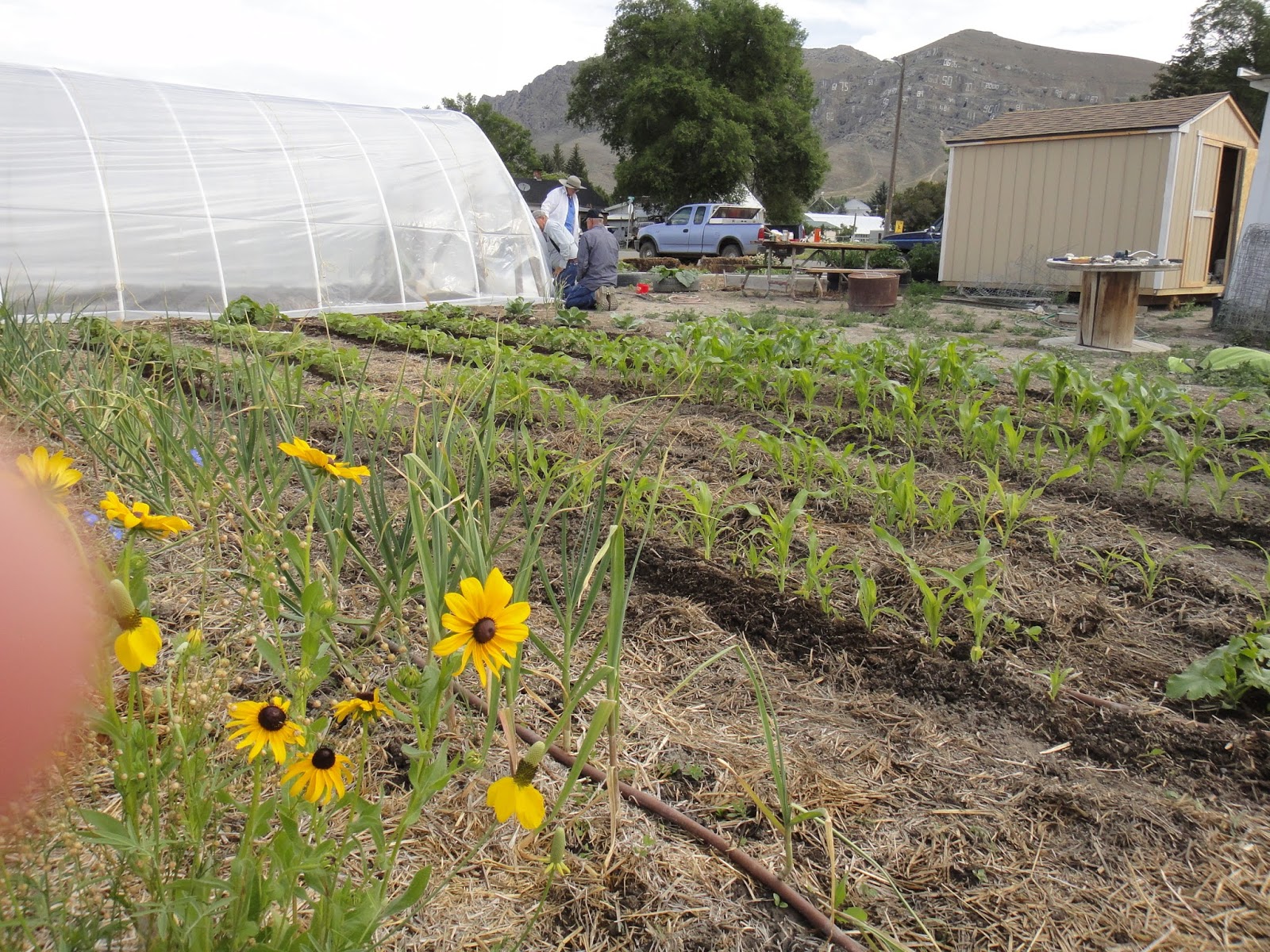 Central Idaho Extension Lost River Master Gardening Begin
