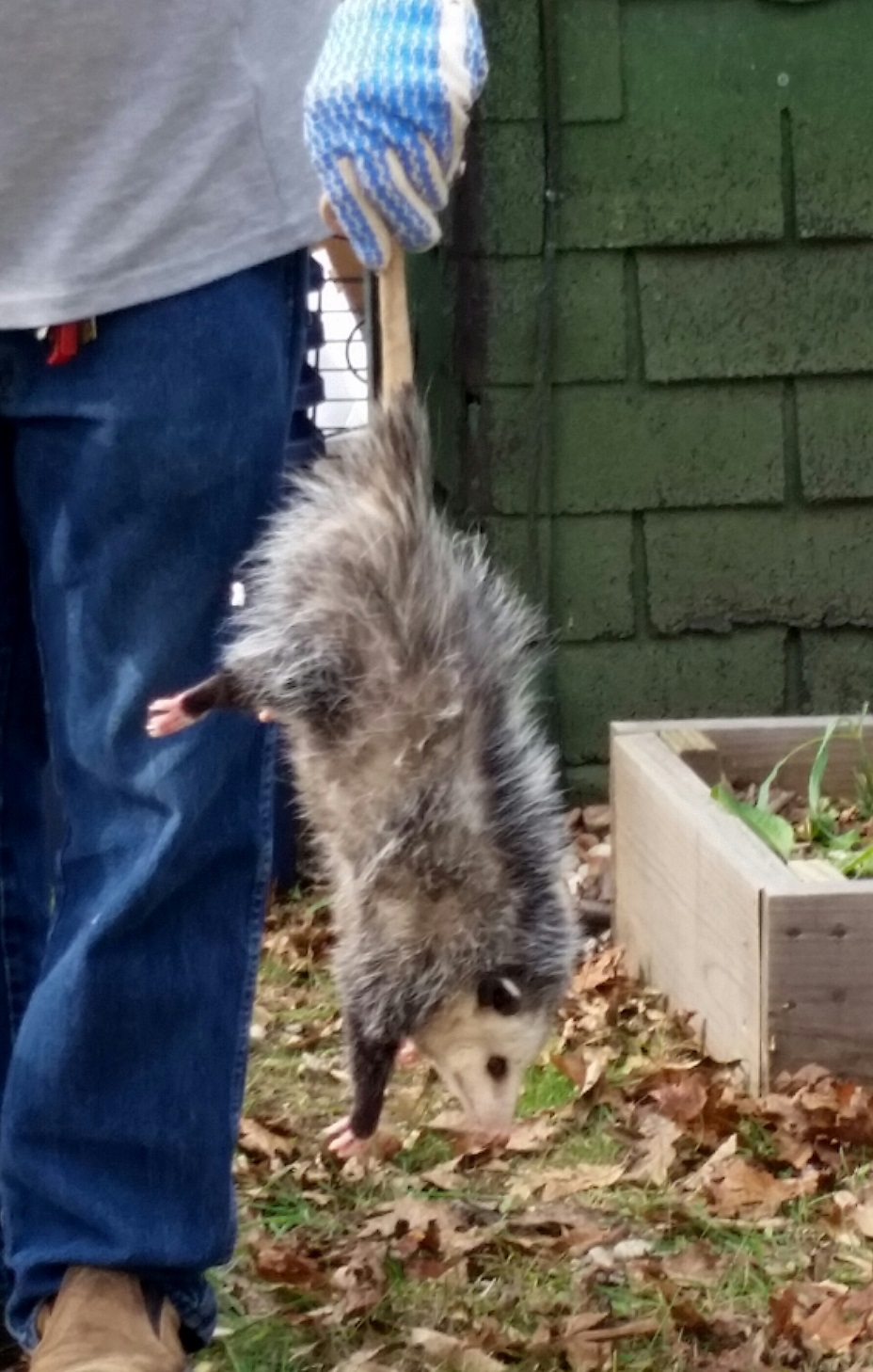Divinebunbun's Rugged Rural Missouri Cleaning the Garage
