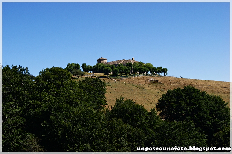 Un paseo,una foto Sierra de Aralar. Navarra