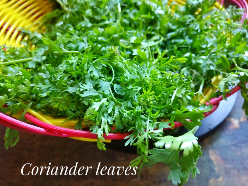 Veg Indian Cooking How to keep coriander leaves fresh in the