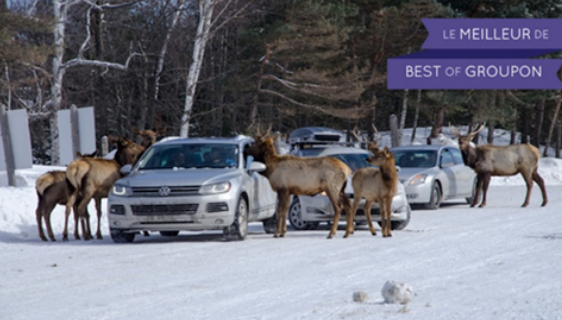 parc omega coupons rabais