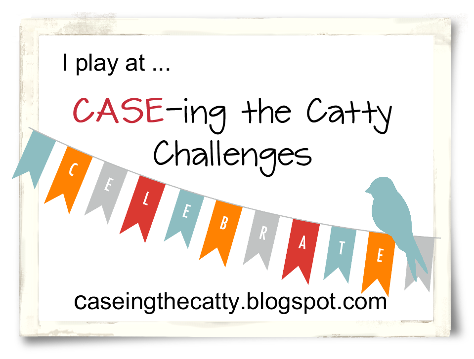 CASE-ing the Catty Challenges