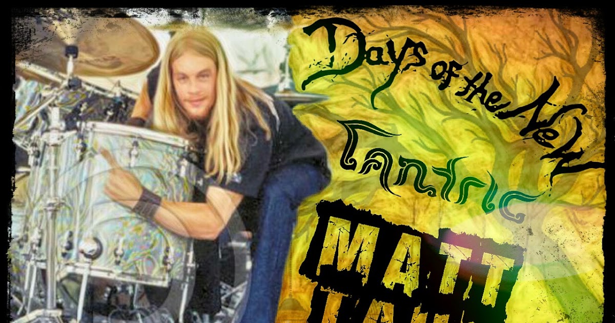 THE POST GRUNGE EXPERIENCE