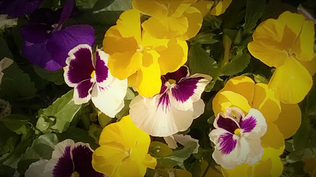 Telemarketers May Become Unstoppable 1 WP 20160711 16 21 58 Pro%2B%25282%2529 min Telemarketers are annoying. Even if there is a Do Not Call list, telemarketers cannot be stopped; especially, when they are coming India as your phone may show the number as Private or a bogus one.