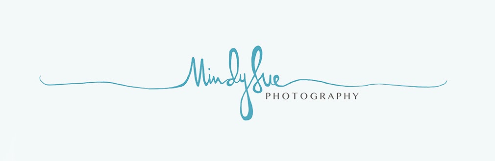 Mindy Sue Photography