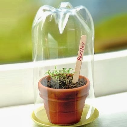 Mini Pet Bottle Greenhouse