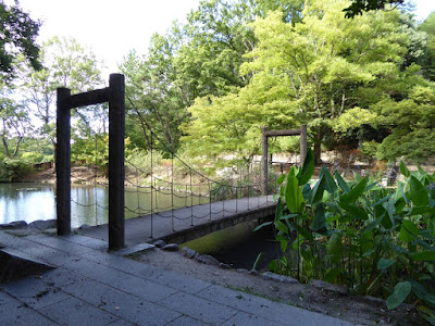 山田池公園のスイレン池　ミズカンナの池　橋