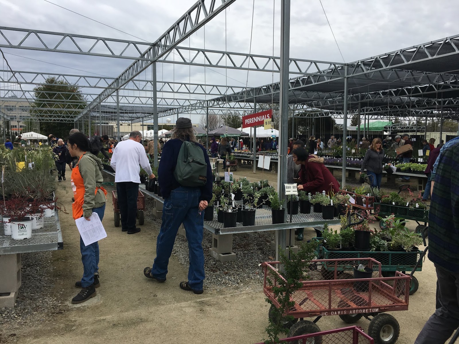 Sacramento Digs Gardening The Garden Calendar is filling up with