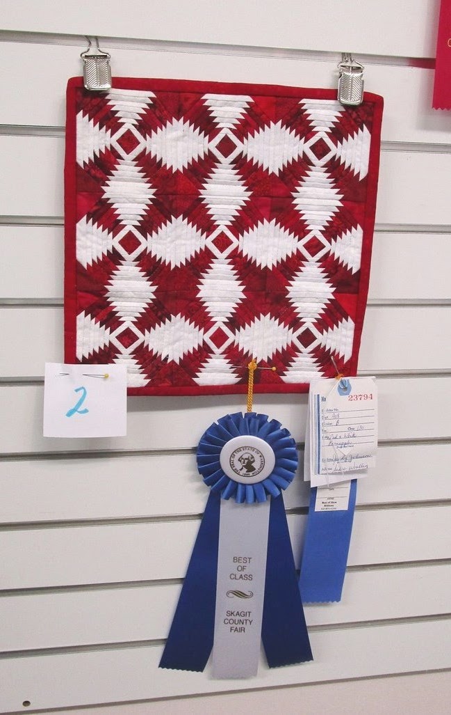 Threadmongers 2015 Skagit County Fair I won ribbons!