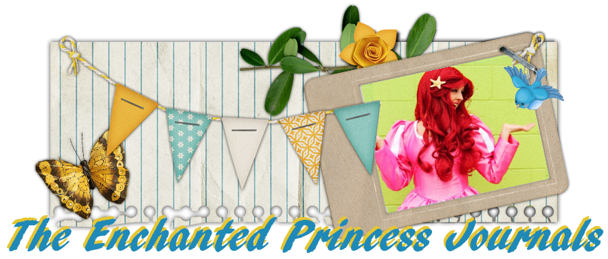 The Enchanted Princess Journals