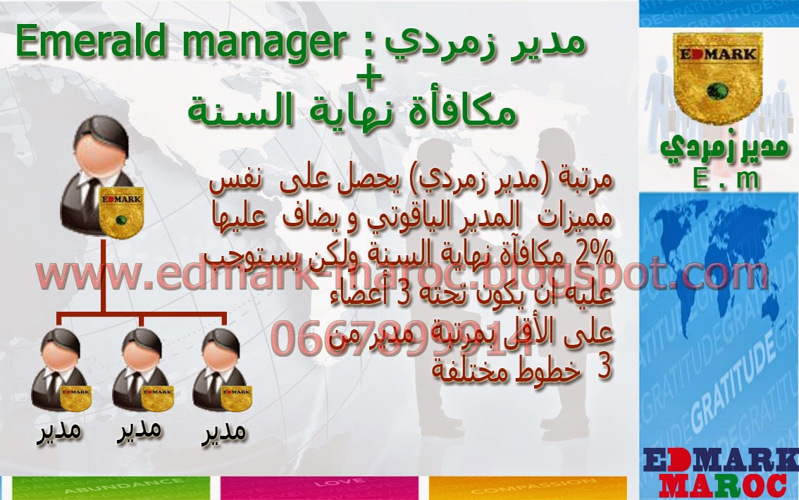أرباح شركة ادمارك العالمية edmark international