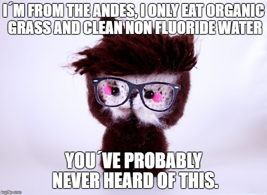 Amigurumi hipster alpaca meme saying that he comes from the andes and eats organic gras and non fluoride water but you probably never have heard about that