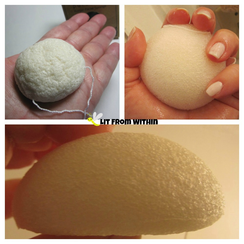 PureSol konjac sponge dry and also inflated with water