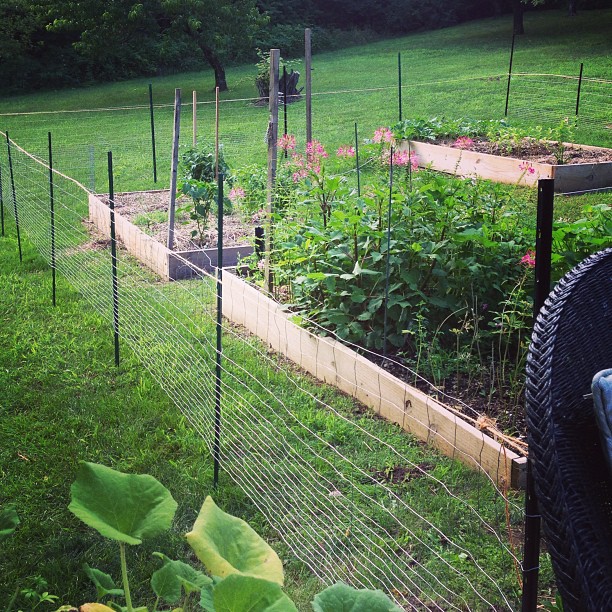 CRAFT & CONSUMPTION: Rabbits in my Garden {Fences and Gates Ed.}