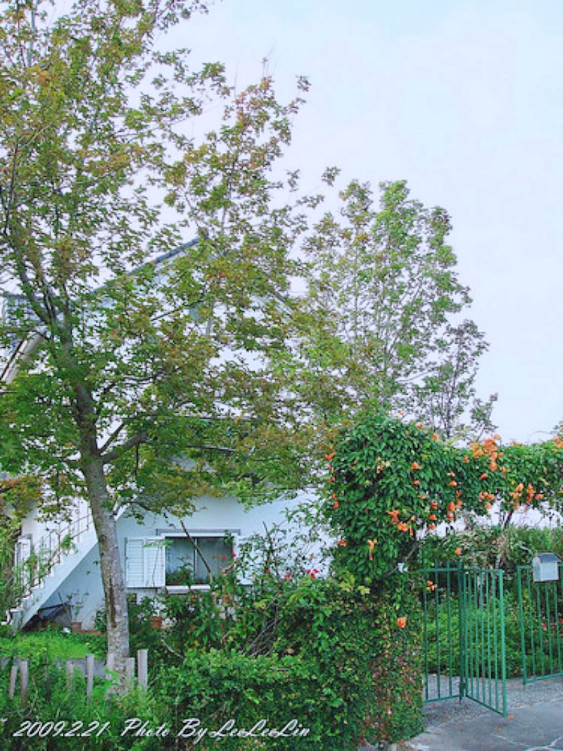 飛鳥小屋民宿|命中注定我愛你偶像劇|陳欣怡薑母島的家