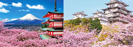 Du lịch Nhật Bản du lịch đầy hấp dẫn