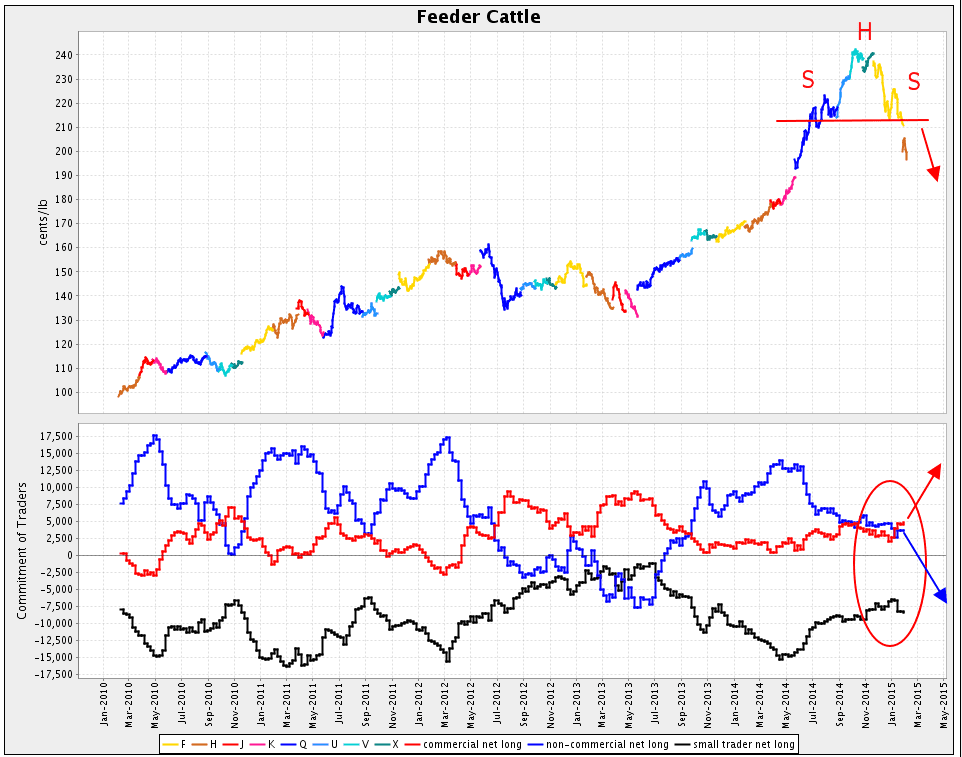 Seasonal Futures Spreads Feeder Cattle Situation 3 feeder-cattle-futures-gf1-weekly-for-cme-gf1-by-dinjin-tradingview