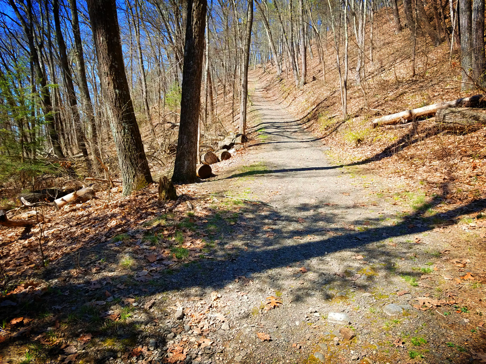 Hiking Trails in NJ and PA Hiking the Milford Knob Trail