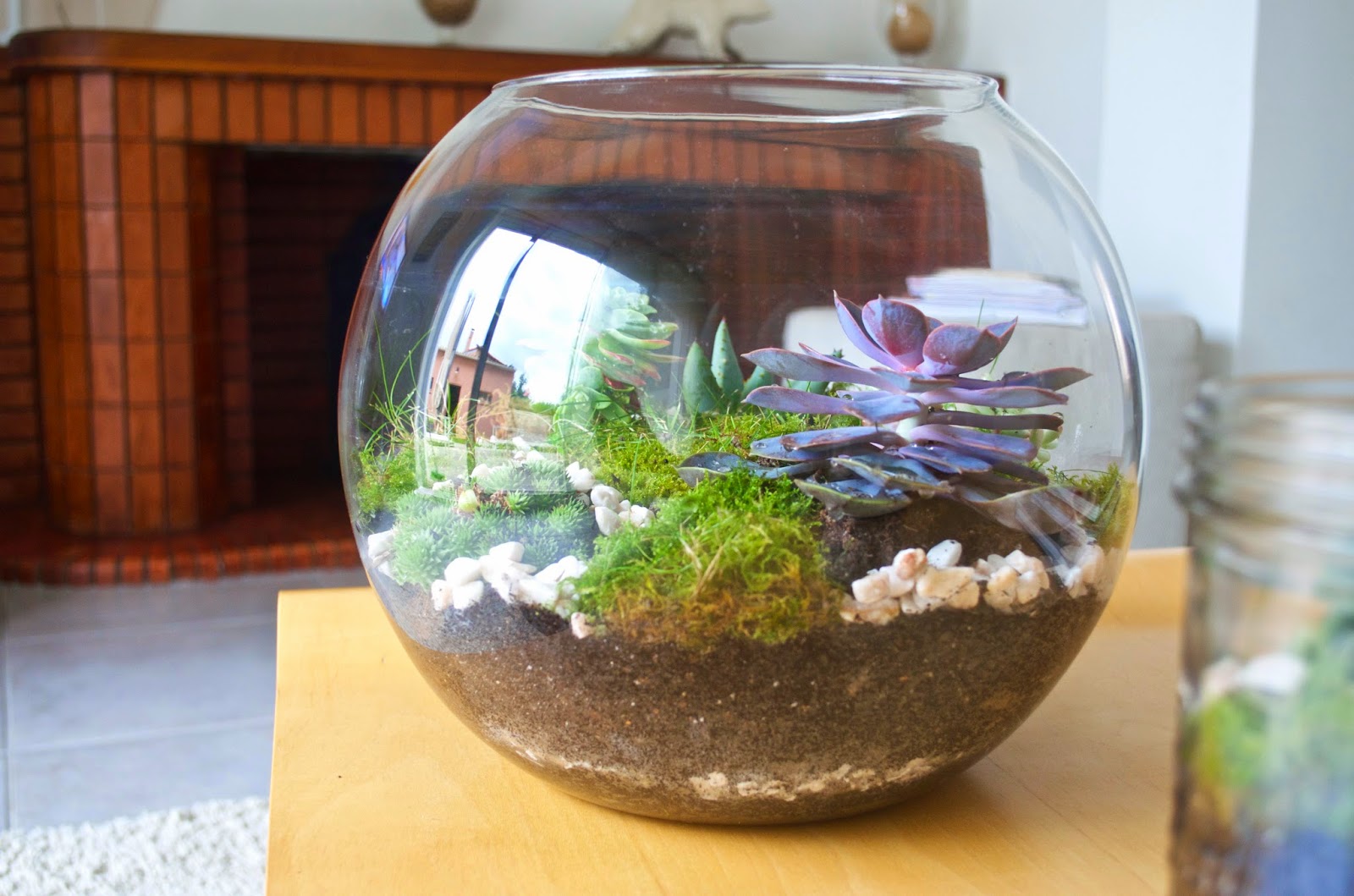 ️ DIY Le Terrarium